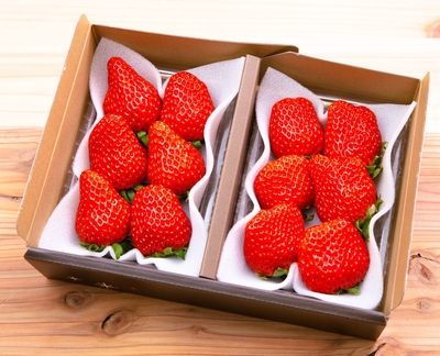 大粒スペシャルパック　2パック入り（化粧箱入り）