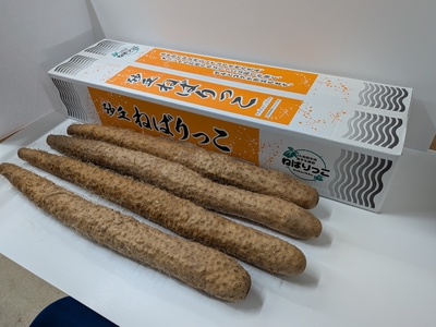 ねばりっこ秀３Ｌ（４本）