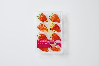 SAKURA DROPS 1箱（2パック入り、約400g) ※冷蔵
