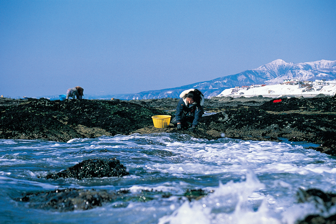 北海道えりも産 寒ふのり（乾燥）25g袋（普通便） | えりもの季