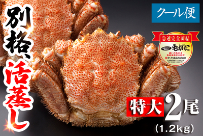 【名物】北海道産 活蒸し毛蟹 特大2尾（1.2kg）