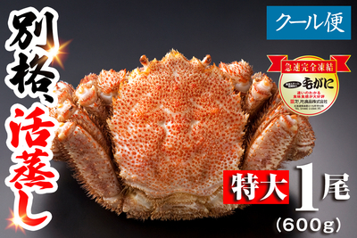 【名物】北海道産 活蒸し毛蟹 特大1尾（600g）