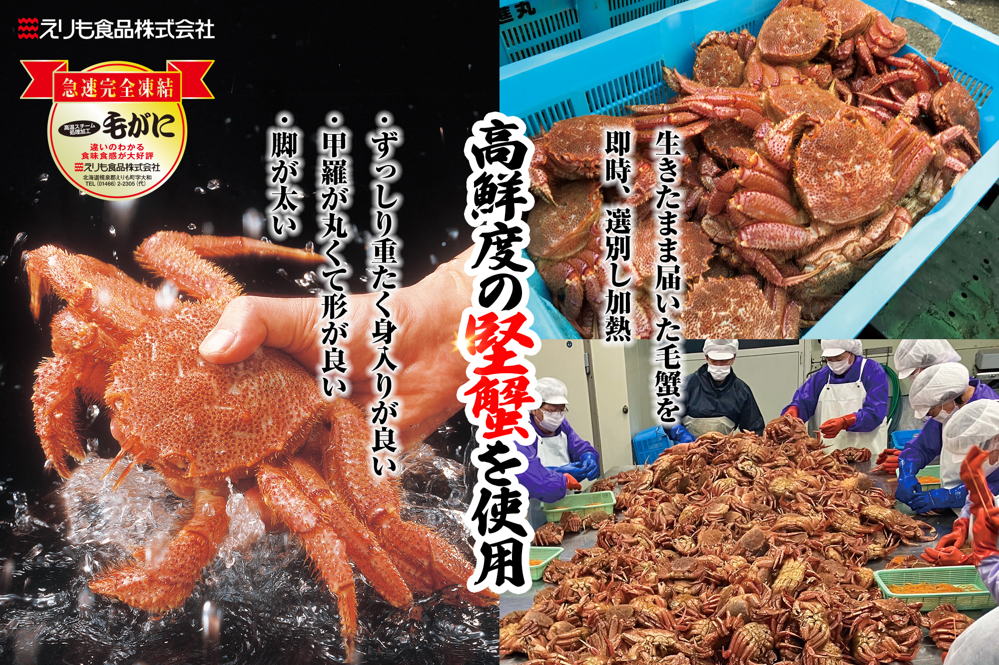 商品詳細_毛蟹共通_堅蟹