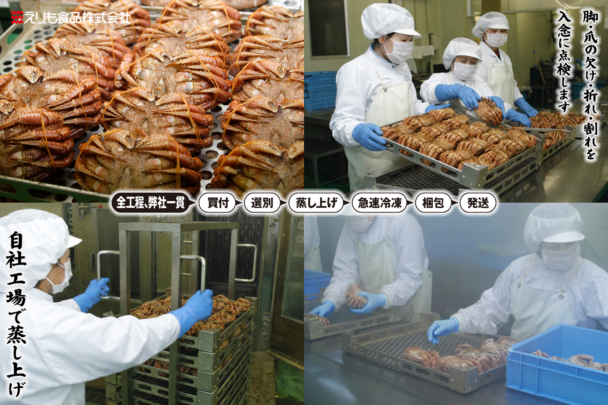 名物】北海道産 活蒸し毛蟹 特大2尾（1.2kg） | えりもの季