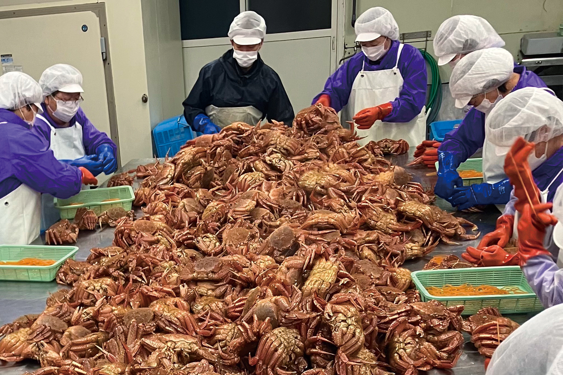 名物】北海道産 活蒸し毛蟹 特大1尾（600g） | えりもの季