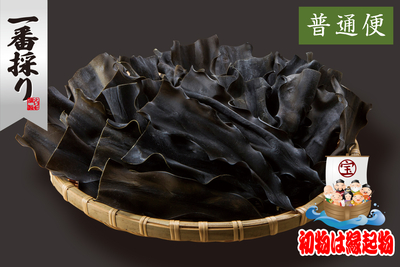 【秋限定】北海道日高産（一番採り）根昆布 250g&times;2袋／箱入（普通便）