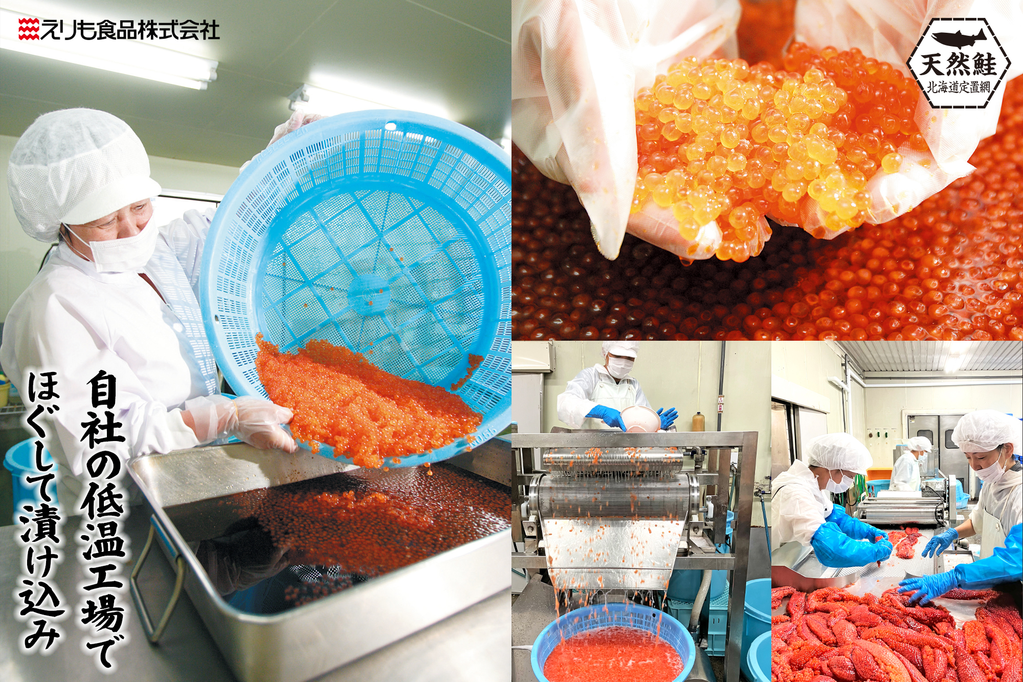 商品詳細_おおずわい訳あり_タイトル