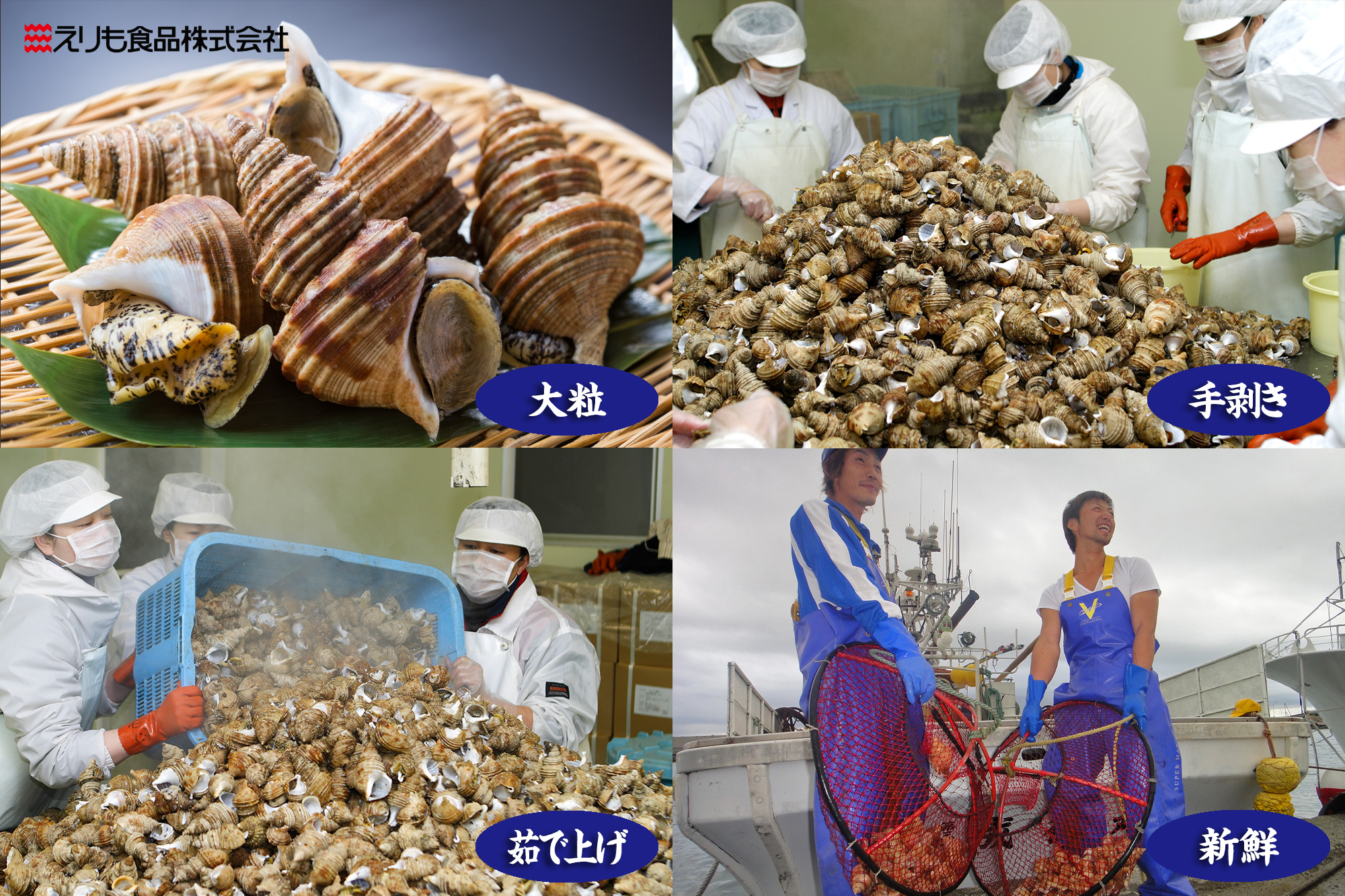 商品詳細_灯台つぶ共通