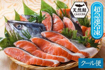 北海道産 本生 秋鮭 半身1.3kg（銀毛オス）生冷凍