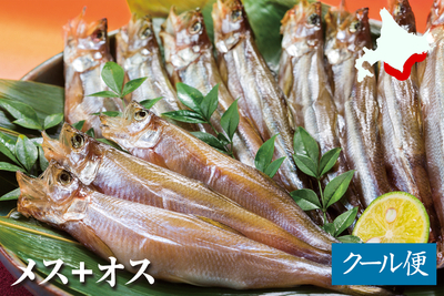 北海道産 生干ししゃも（三分干し）メス30尾・オス20尾／箱入