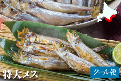 北海道産 生干ししゃも（三分干し）特大メス 30尾／箱入