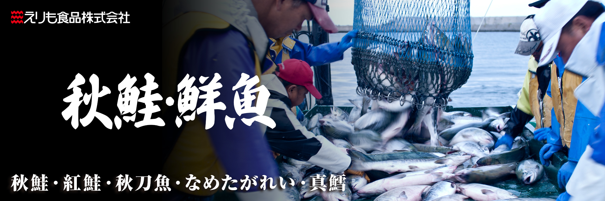 カテゴリ_秋鮭鮮魚