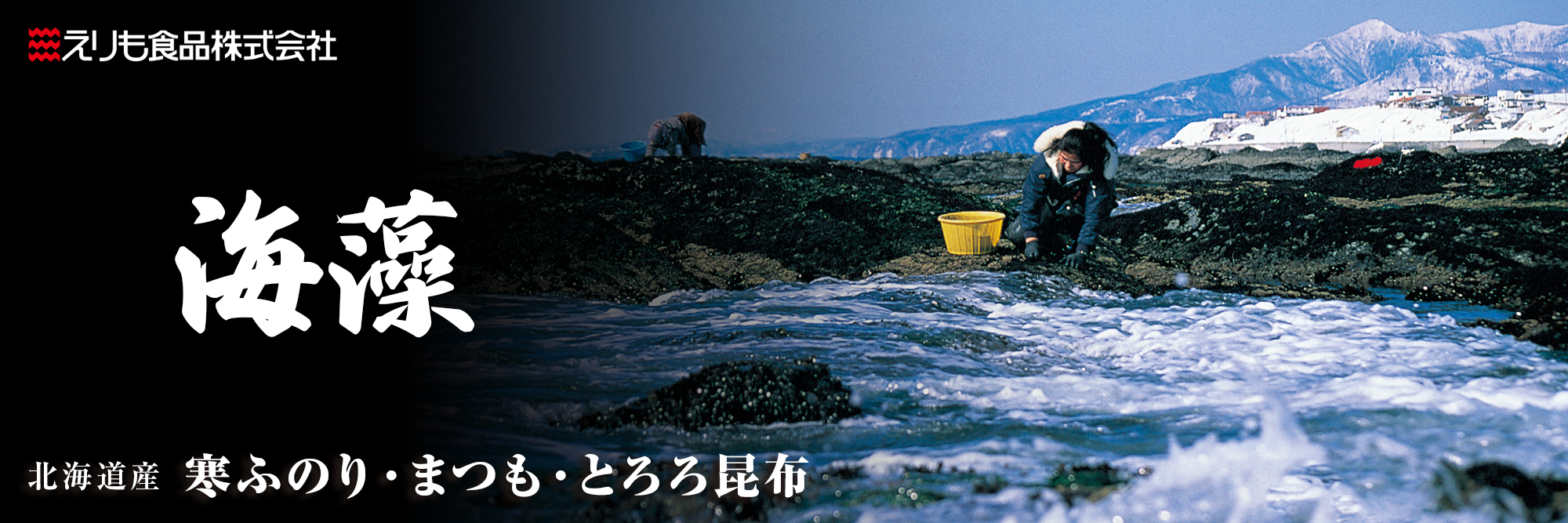 北海道産 海藻 とろろ 通販｜寒ふのり まつも とろろ昆布 産直 お