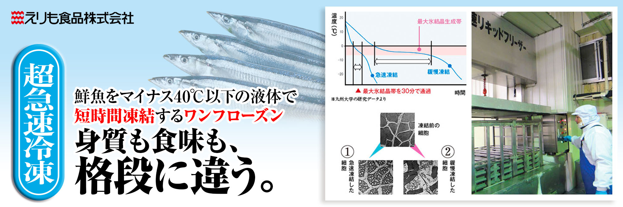 カテゴリ_超急速冷凍