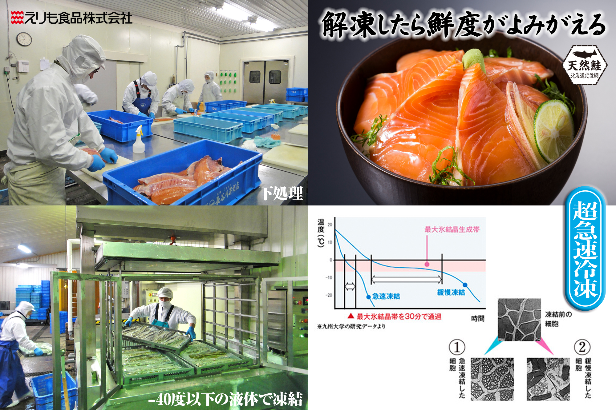 フリーページ_社屋