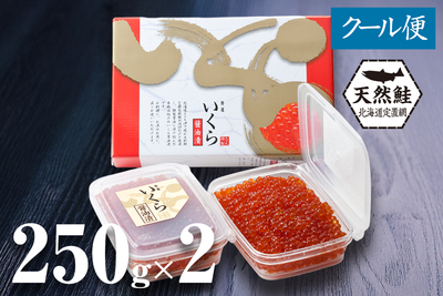 北海道産天然秋鮭 いくら醤油漬 250g&times;2（たれ付き）