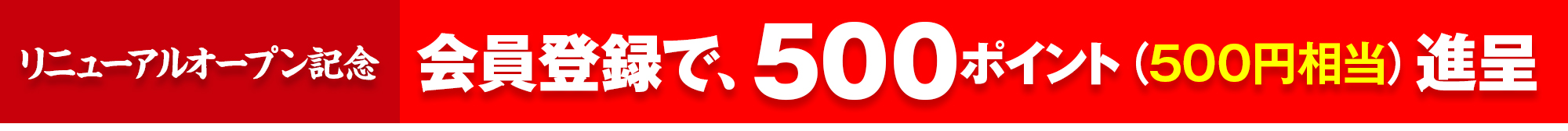 500ポイント進呈