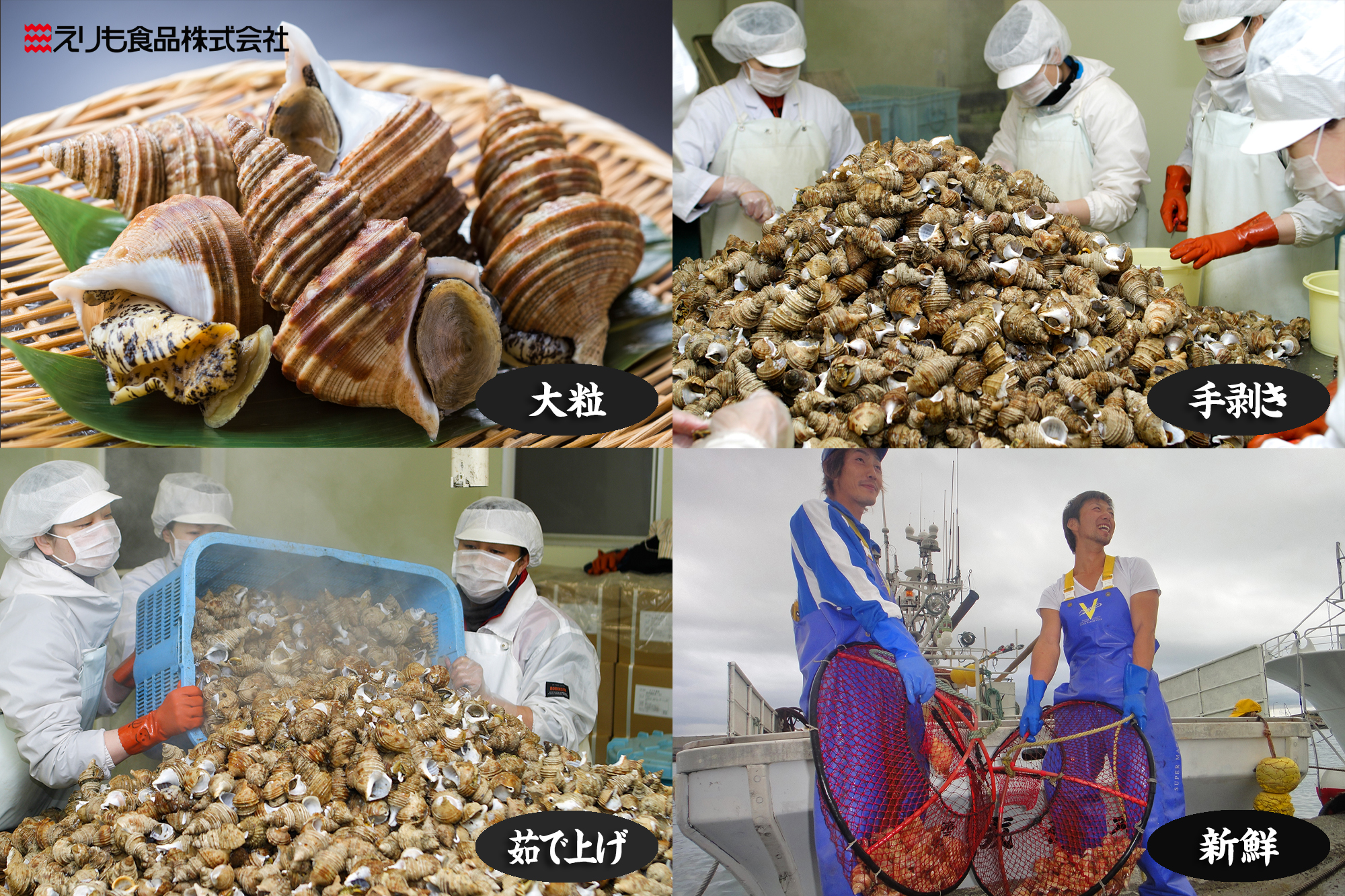 商品詳細_灯台つぶ共通