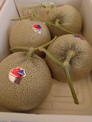 訓子府メロン【4玉・8kg詰】