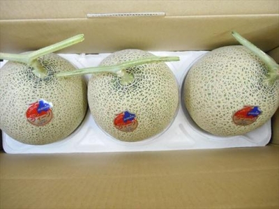 訓子府メロン【6玉入・８kg】