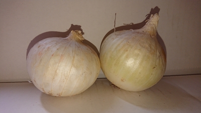 サラダ玉ねぎ【白M・5kg】