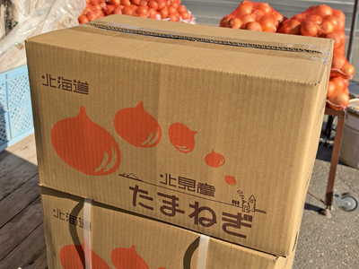 北見産 玉ねぎ【L・20kg】