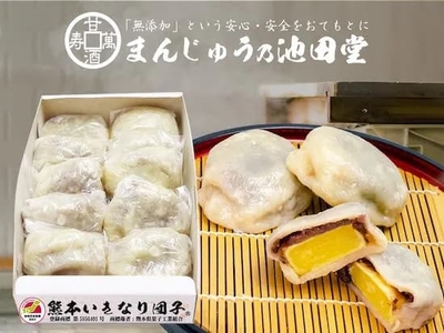 熊本いきなり団子 10個入