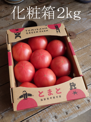 桃太郎とまと 2ｋｇ箱