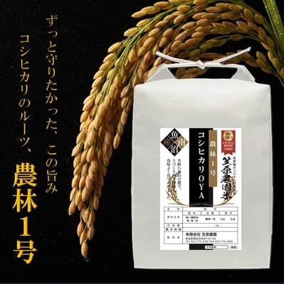 笠原農園米 こしひかりの親～農林１号～｜幻の原種。お米本来の深い味わいと香りを南魚沼から
