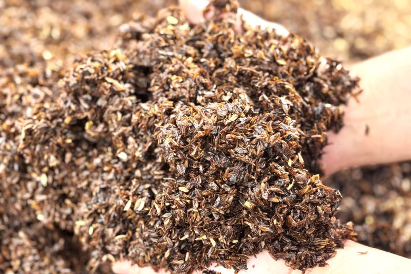 自家製発酵肥料