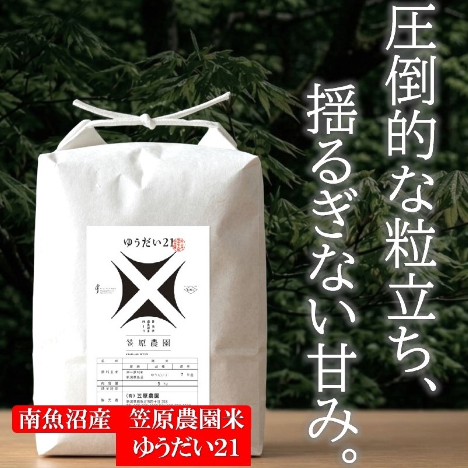 笠原農園米 ゆうだい21｜コシヒカリを超える甘みで食味コンクール受賞