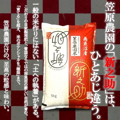 笠原農園米 新之助｜大粒でシャッキリした食感。冷めても美味しい新潟の新ブランド