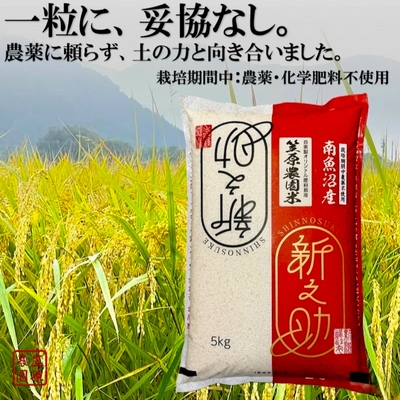 【栽培期間中：農薬・化学肥料不使用】栽培期間中 笠原農園米　新之助｜土の生命力で磨いた大粒の輝き。一粒に込めた誇りと純粋な甘み。冷めても際立つ圧倒的な粒感と弾力は、まさに食卓の主役。