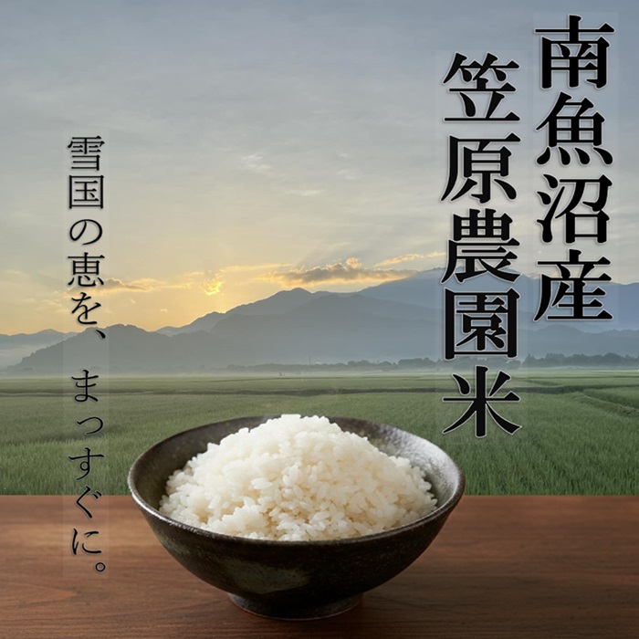 笠原農園米 ゆうだい21｜コシヒカリを超える甘みで食味コンクール受賞