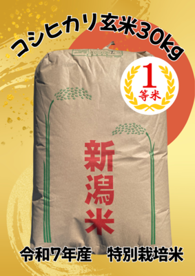 コシヒカリ　玄米30㎏