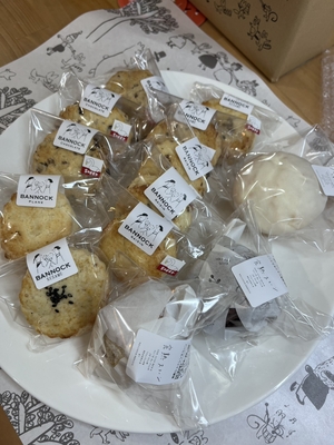 型崩れ値引きセットR