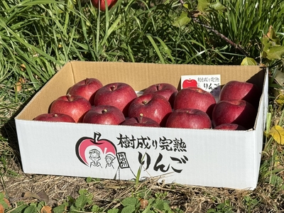 サンふじ+シナノゴールド２色5ｋｇ