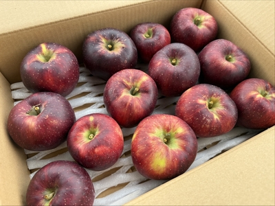 お徳用りんご5kg 紅玉