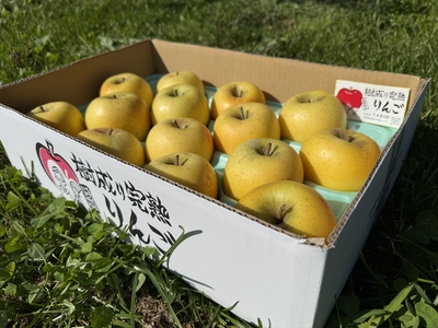 シナノゴールド5ｋｇ