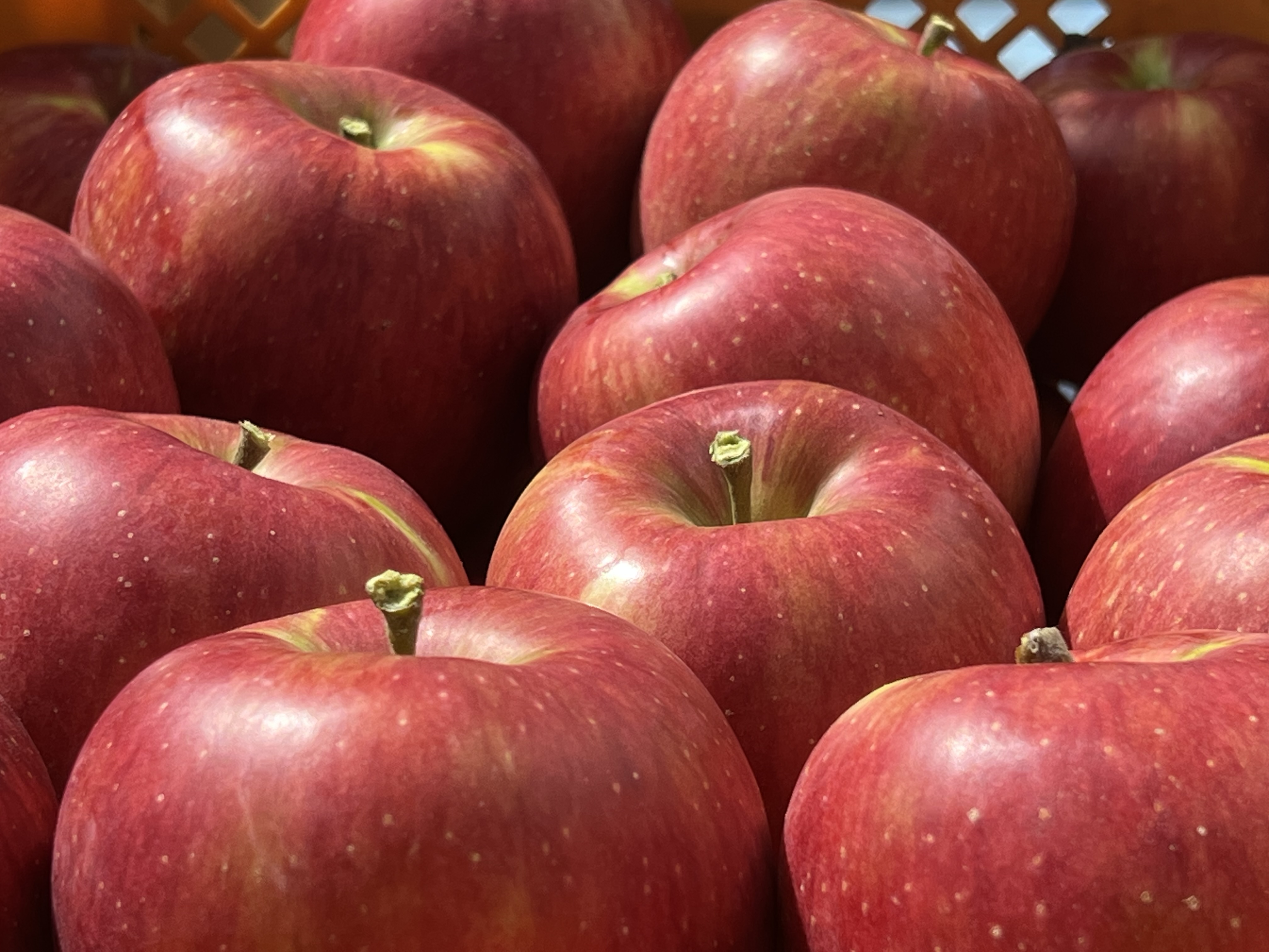 ふわっとあまい。シャキッと元気