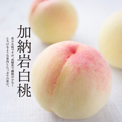 加納岩白桃　自宅用　２ｋ箱