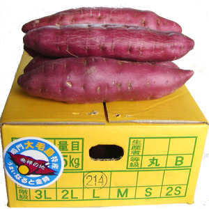 大毛島産-なると金時　秀　Ｌ　５ｋｇ