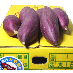 大毛島産-なると金時　秀　Ｍ　５ｋｇ