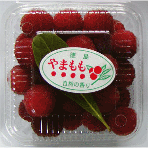 ヤマモモ－瑞光　２５０ｇ　１パック　徳島県産