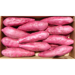 里むすめ　秀　Ｌ　５ｋｇ箱入