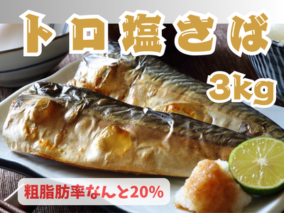 トロ塩サバ