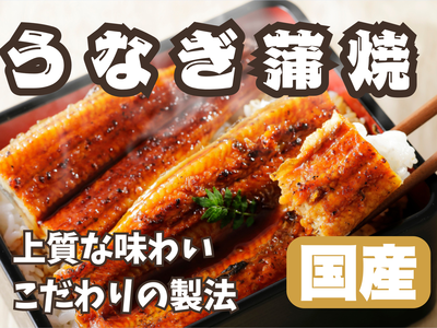 わけあり　国産ウナギの蒲焼