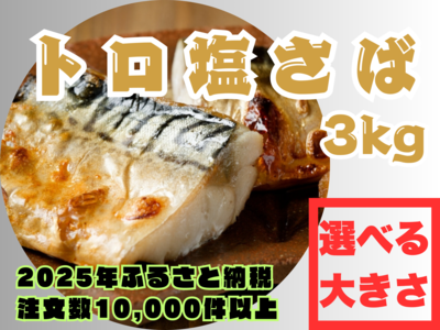 トロ塩サバ