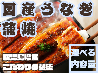 わけあり　国産ウナギの蒲焼