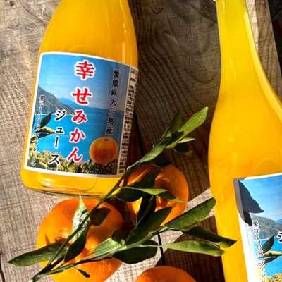 みかんジュース720mL　6本セット